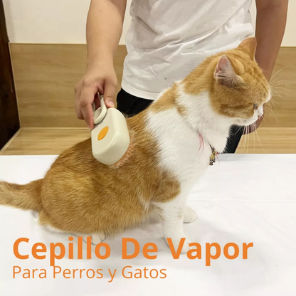 Cepillo A Vapor Recargable Para Mascotas