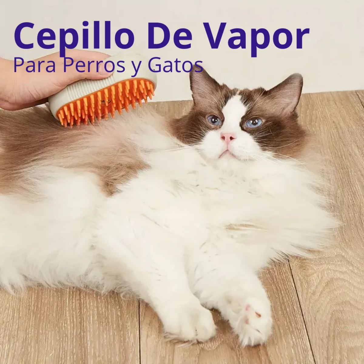 Cepillo A Vapor Recargable Para Mascotas